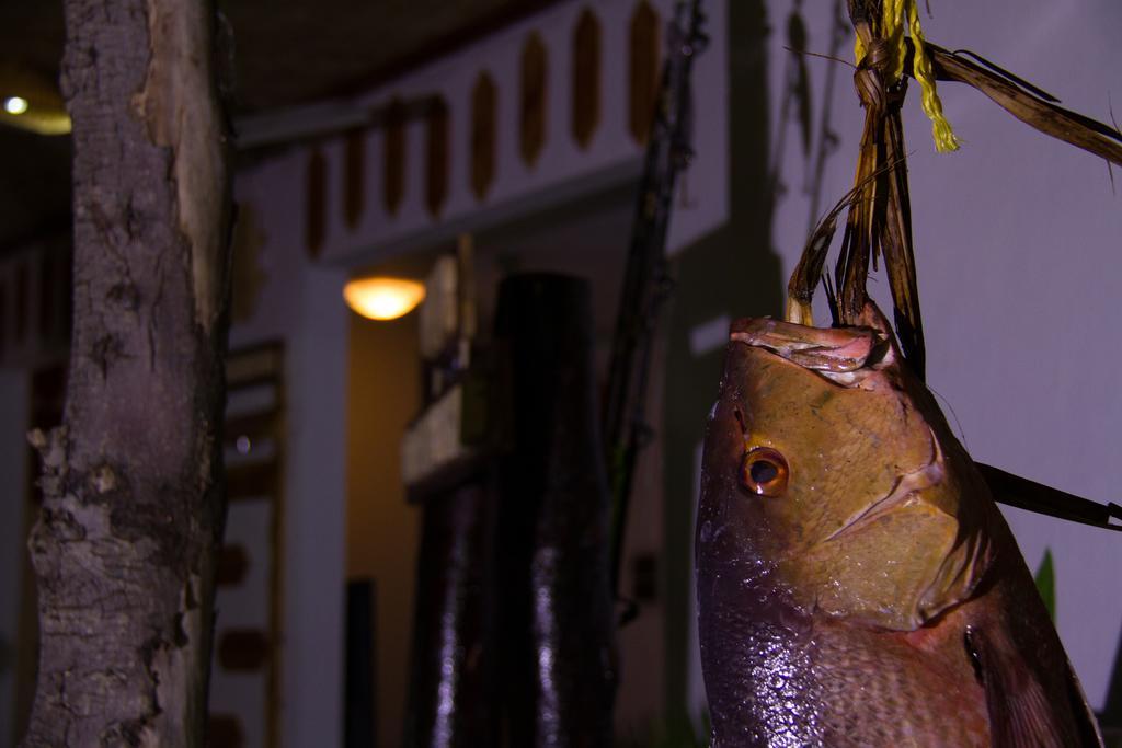 Alvi Star Inn Thulhaadhoo Buitenkant foto