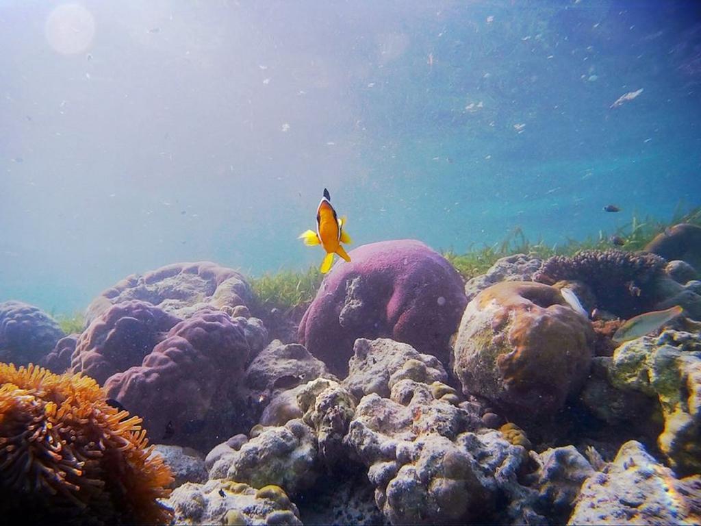 Alvi Star Inn Thulhaadhoo Buitenkant foto