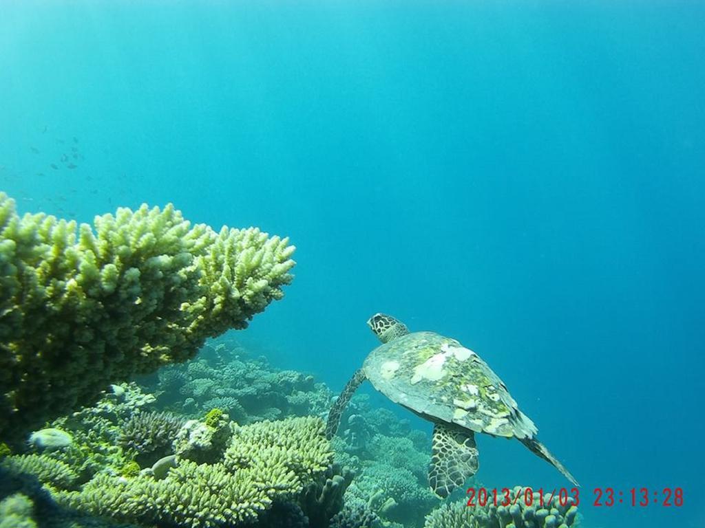 Alvi Star Inn Thulhaadhoo Buitenkant foto